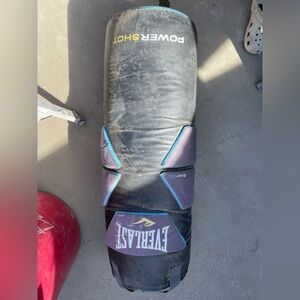 Everlast Punching Bag